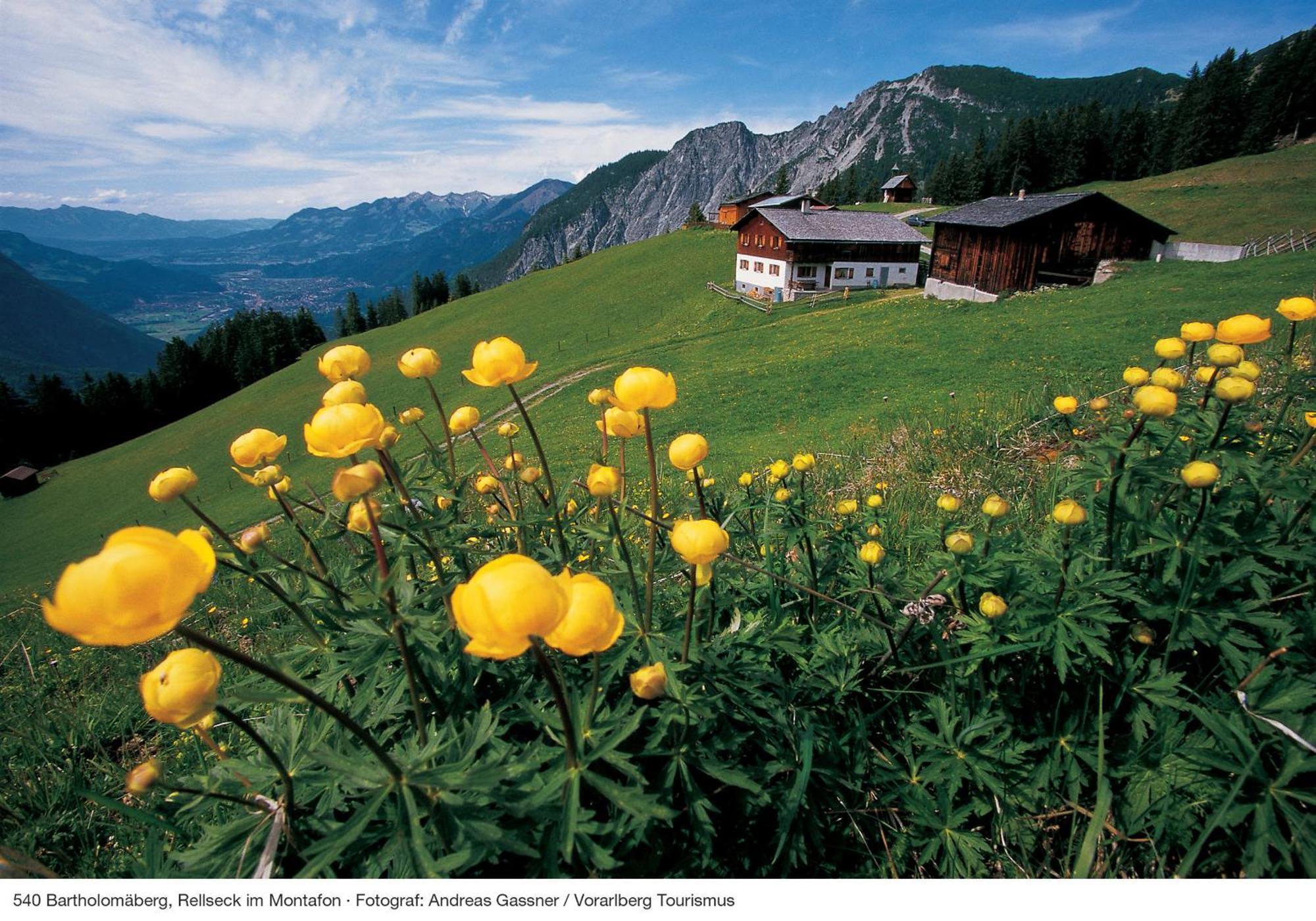 Alpine Lodge Kloesterle Am Arlberg Δωμάτιο φωτογραφία